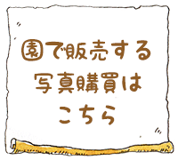 園で販売する写真購買はこちら